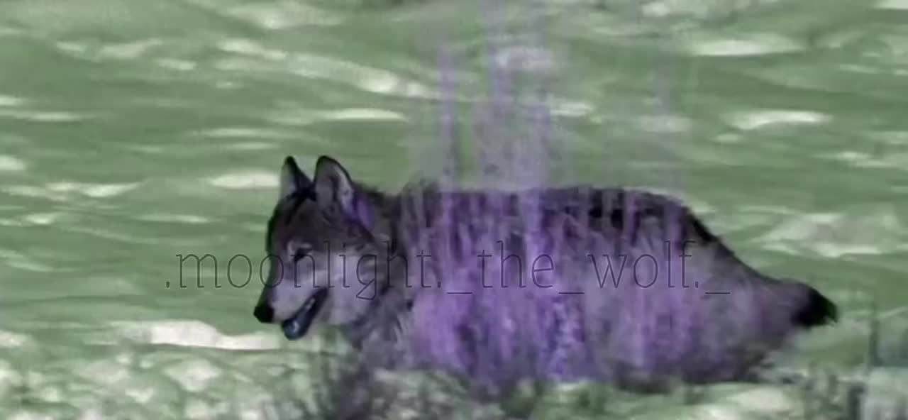 @💜🐺moonlight🐺💜