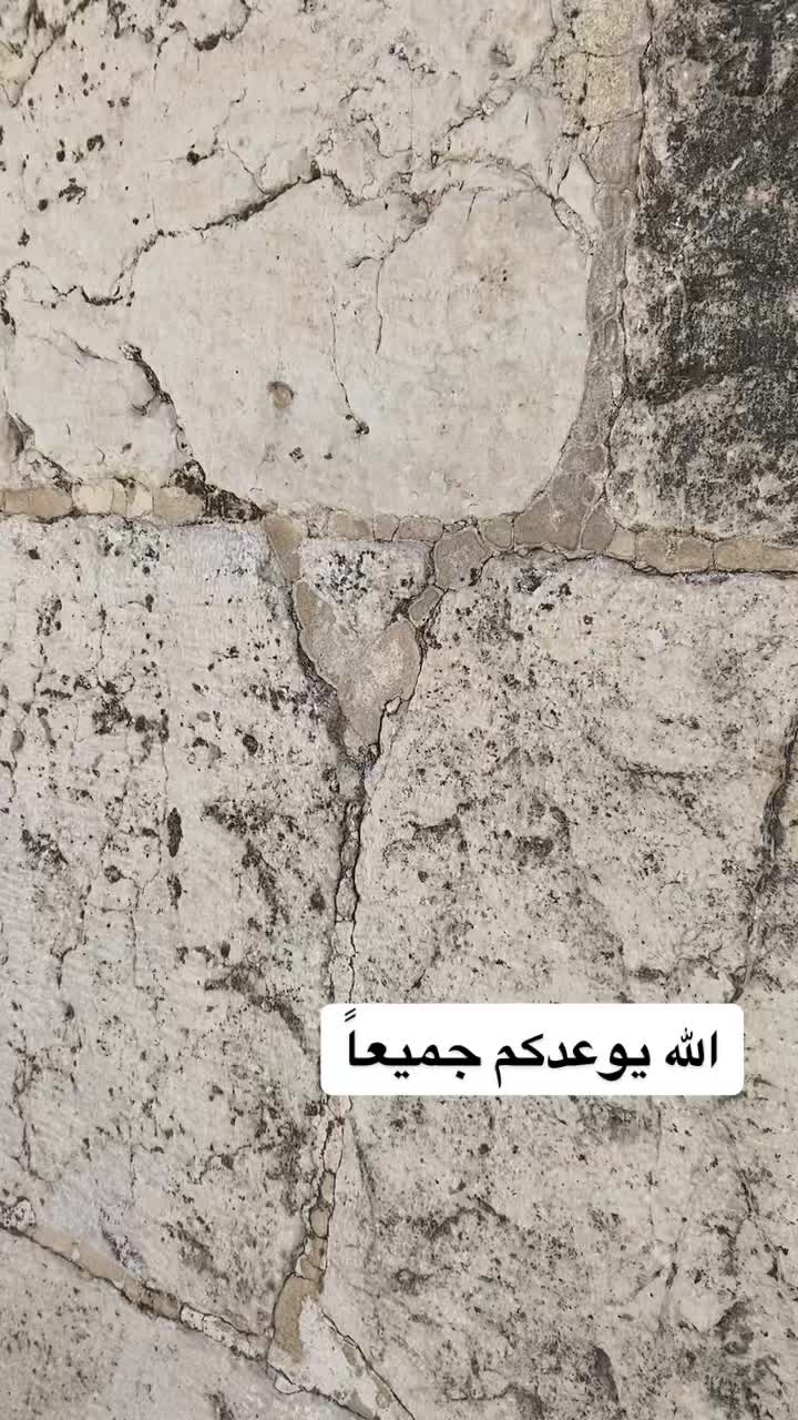 @Mohammed reyad