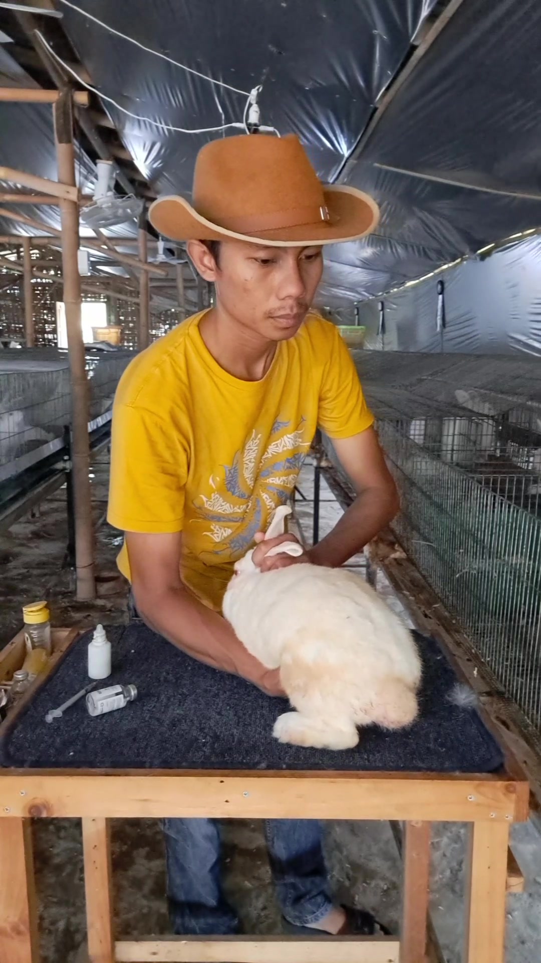 @Dinaraya farm