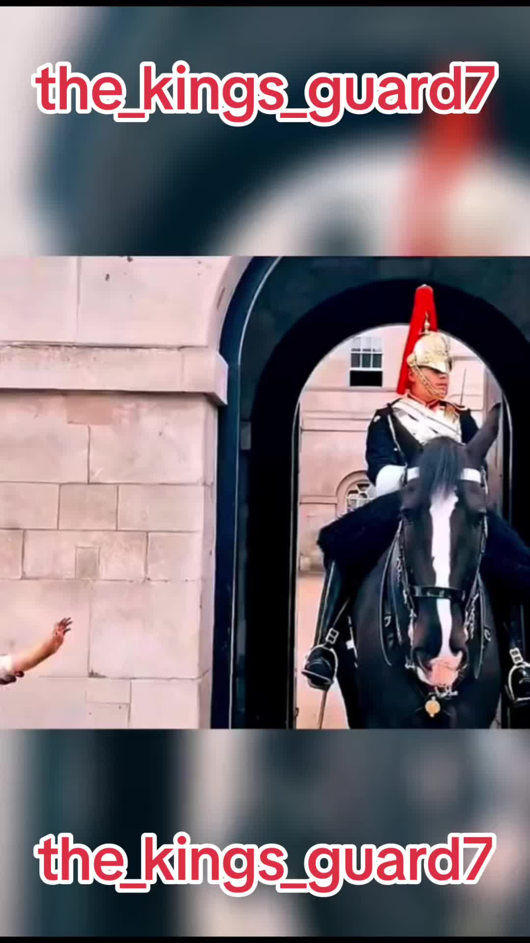 @The_Kings_Guard7