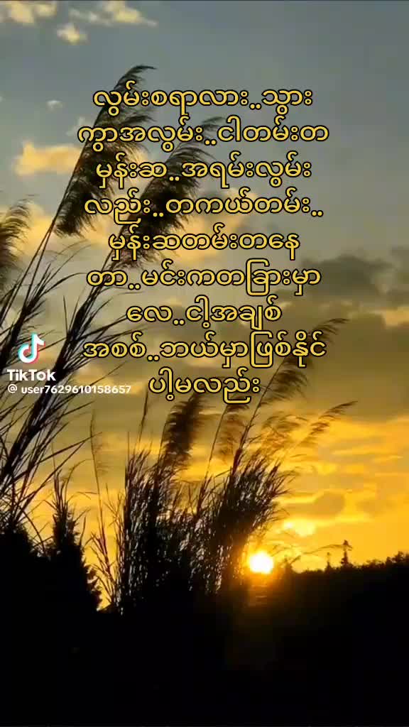 @minmardar