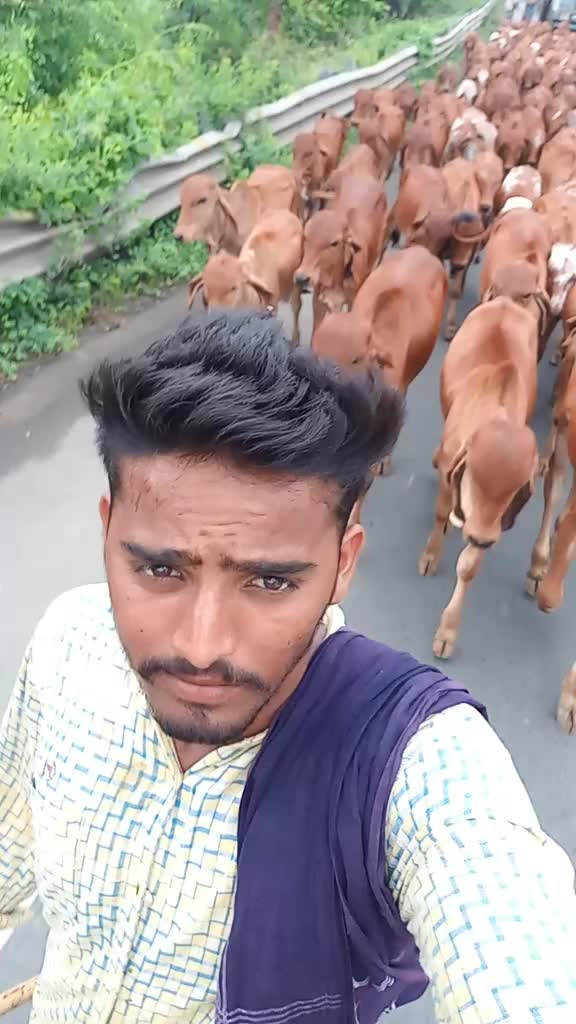 @Sindhav Vijay