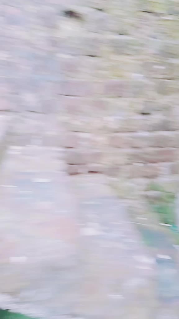 @C_u_t_t_y_R_i_t_u
