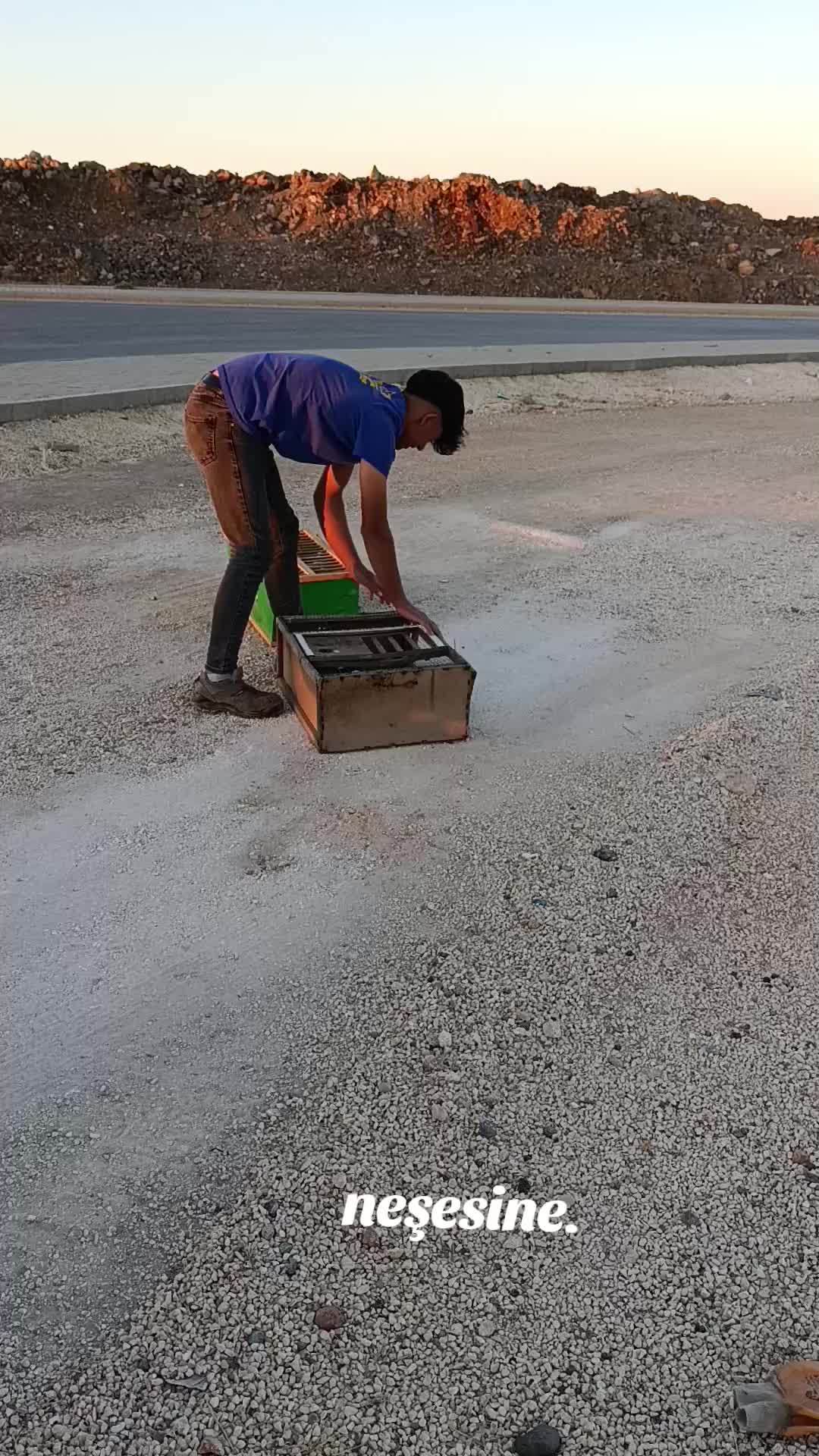 @👑 postacı 👑