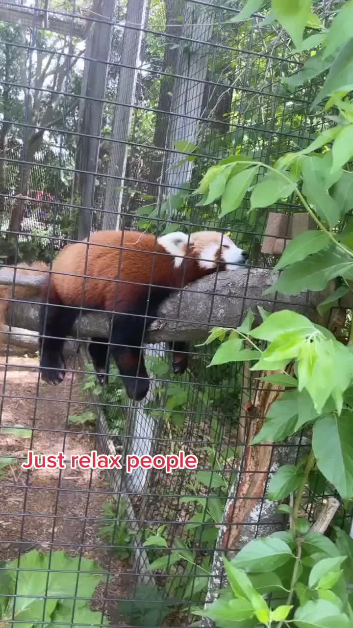 @Mark Alan