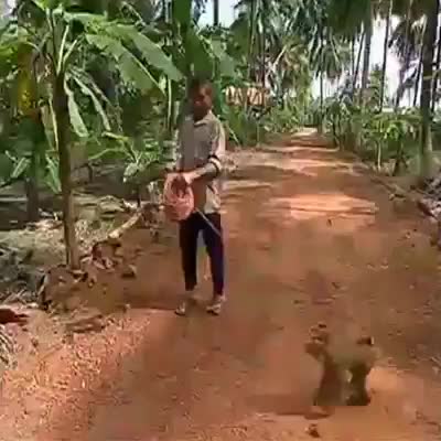 @Ratheesh