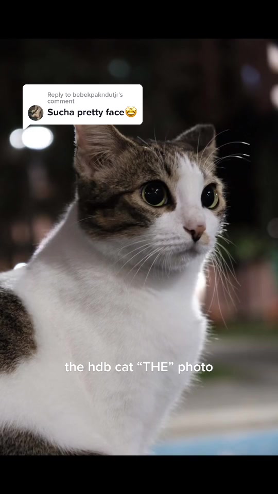 @awkzpotato 🥔