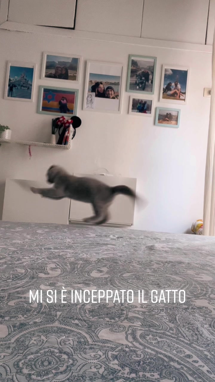 @Fausta Cioffi