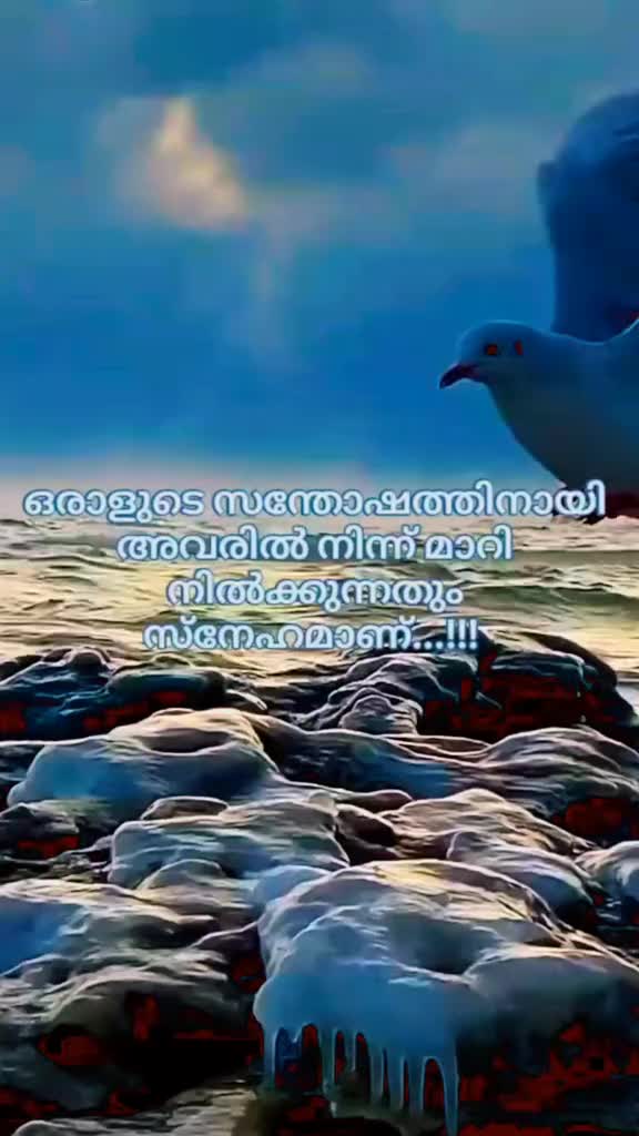 @ameer (Raju)