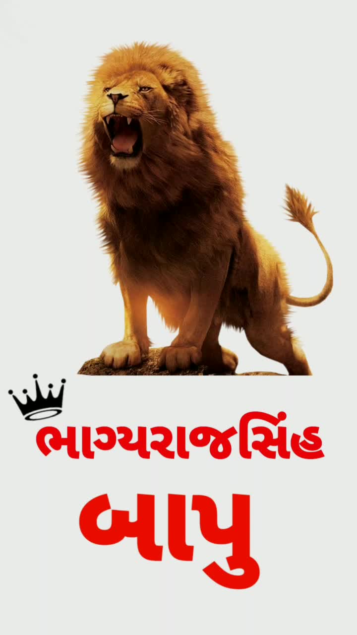 @vipulsinhvaghela