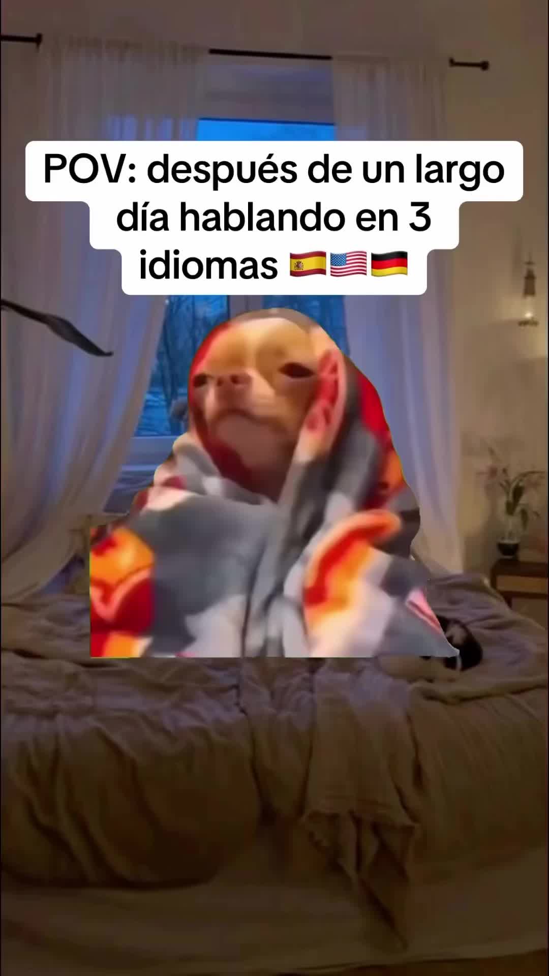 @Alem&aacute;n&ensp;con&ensp;Idiom&aacute;scultura