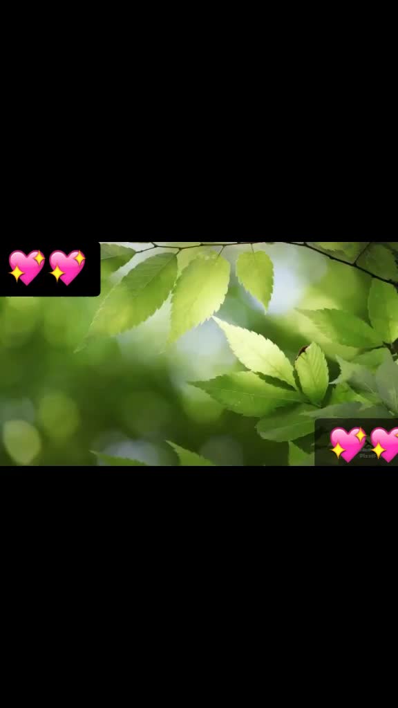 @koli Bhavesh