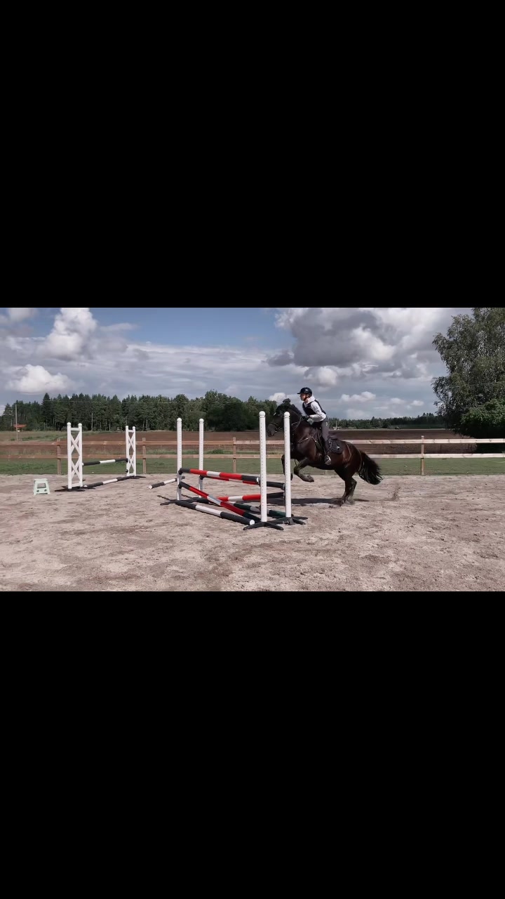 @Hästkonto 💓
