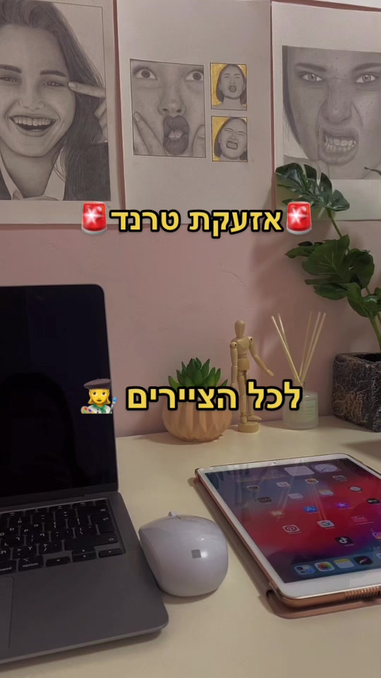 @sapir partush