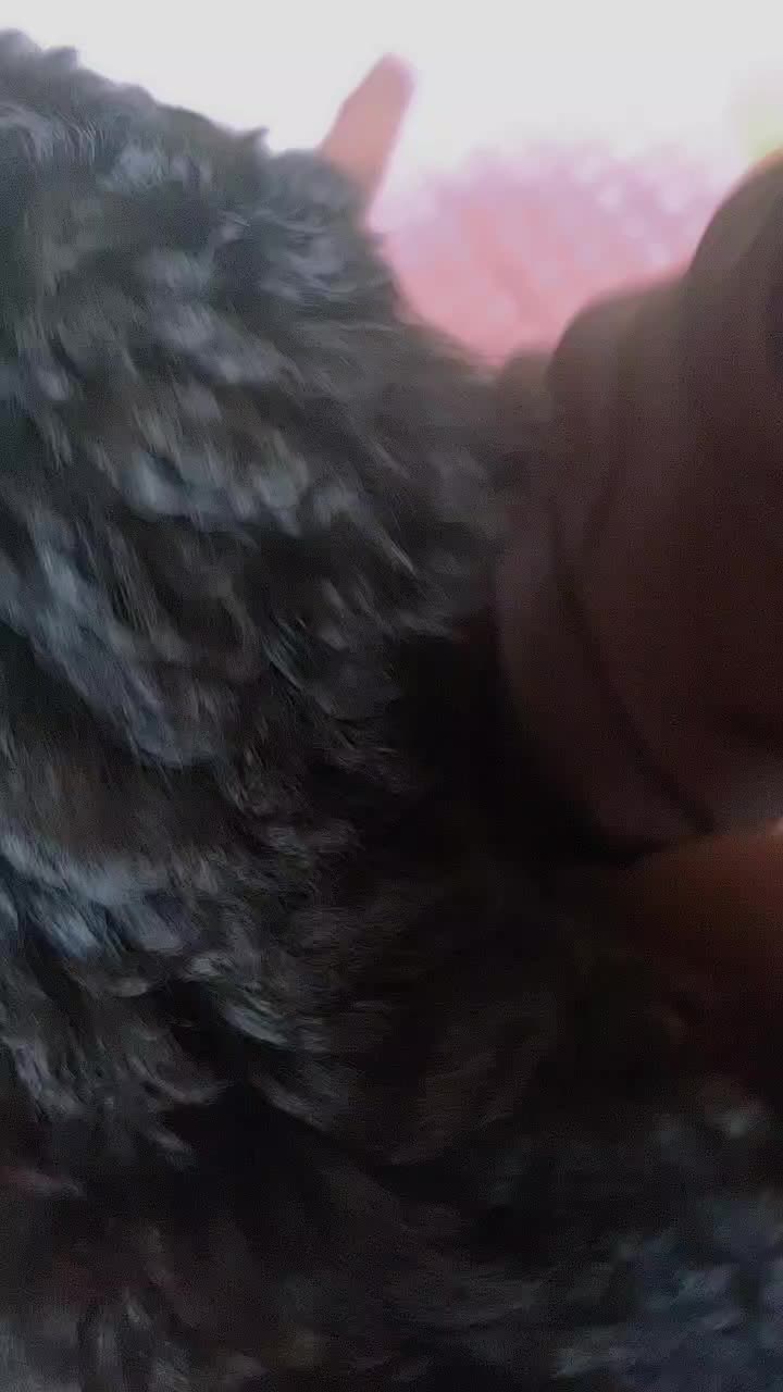 @땡롬쓰 해안경(?)