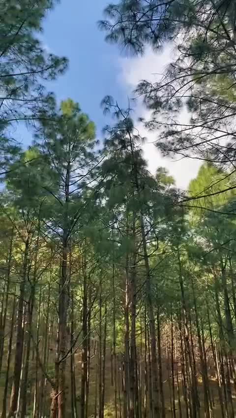 @हि-माल ठकुरी