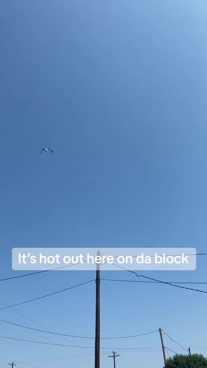 @Malachi M Salazar