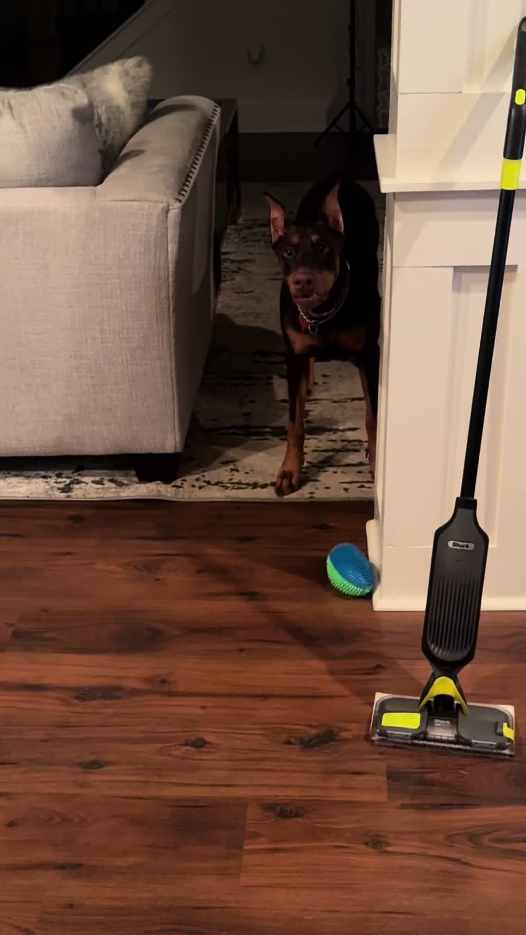 @ShantitheDobie