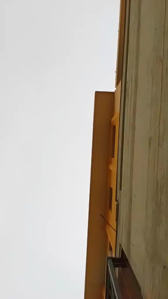 @cettinaquattropani