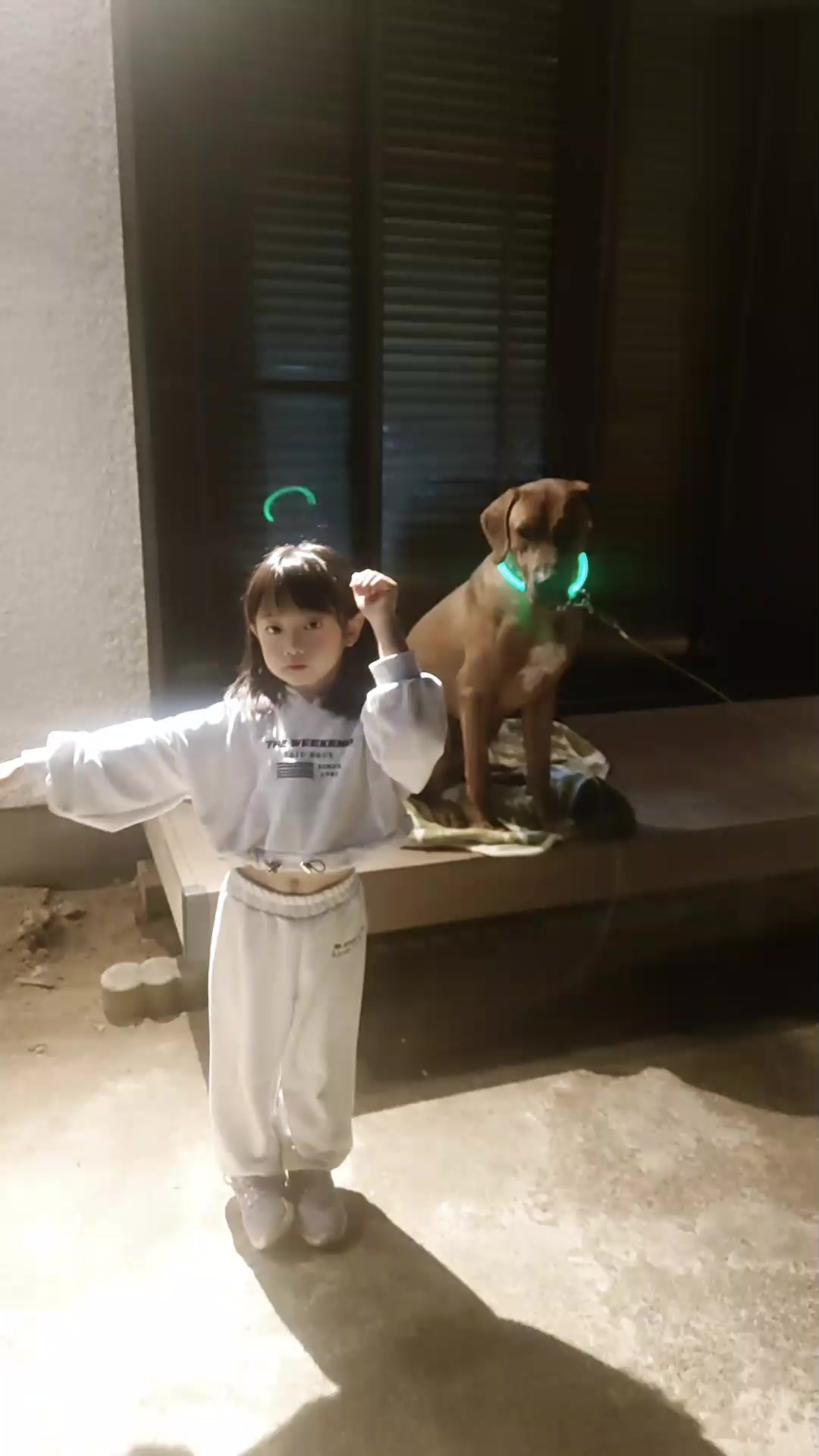 @Louis.Harry.rhodesianridgeback