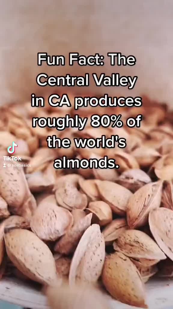 @soilbasics