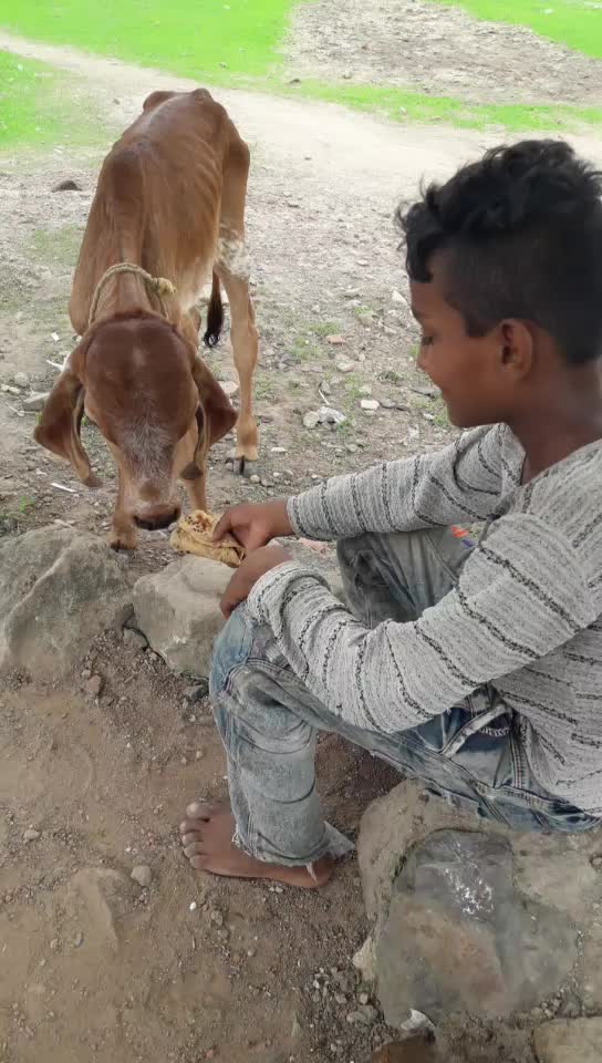 @Jagdish Thakor