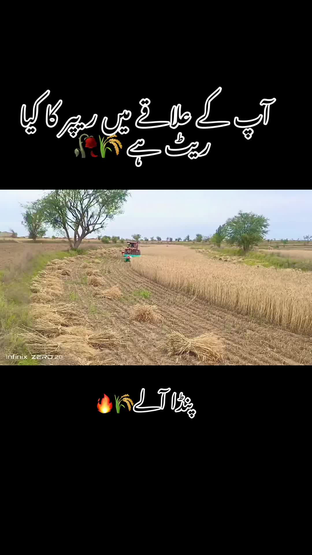 @Naseer ud Din Maلik