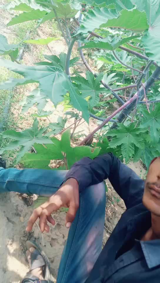 @royal thakor king 5@
