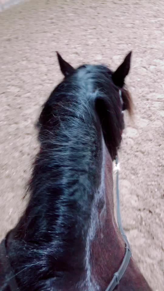 @🏇Ryttare🏇