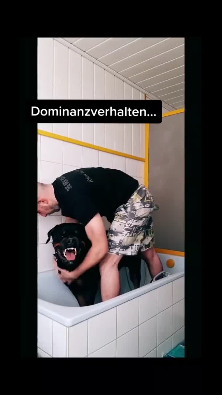 @Goldvengers
