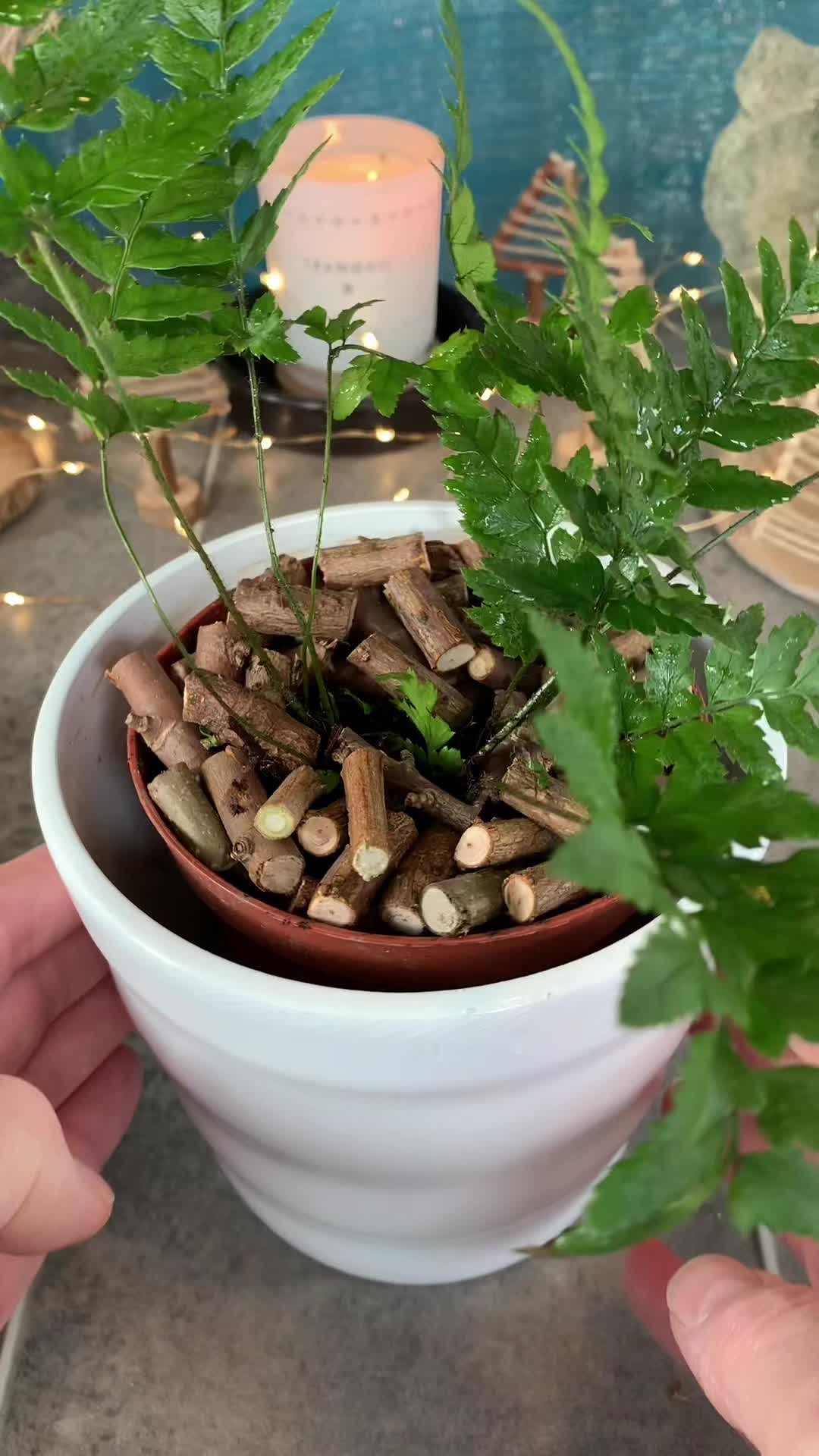 @Plant!U