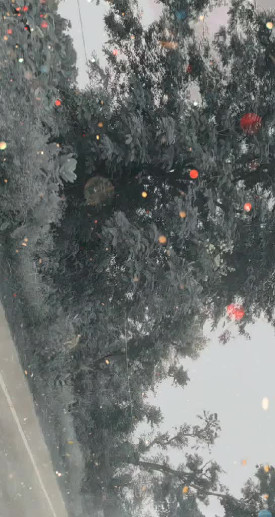 @Vaishnavi Mali