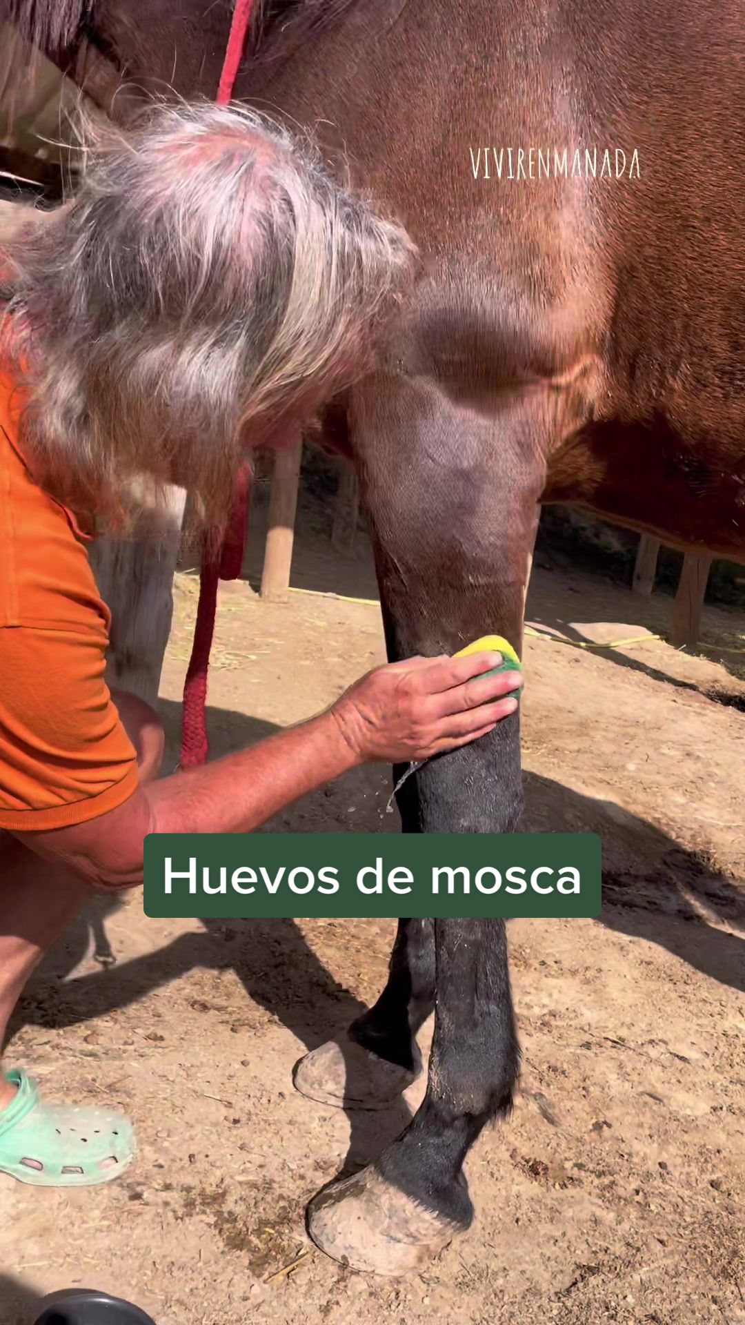@Vivirenmanada