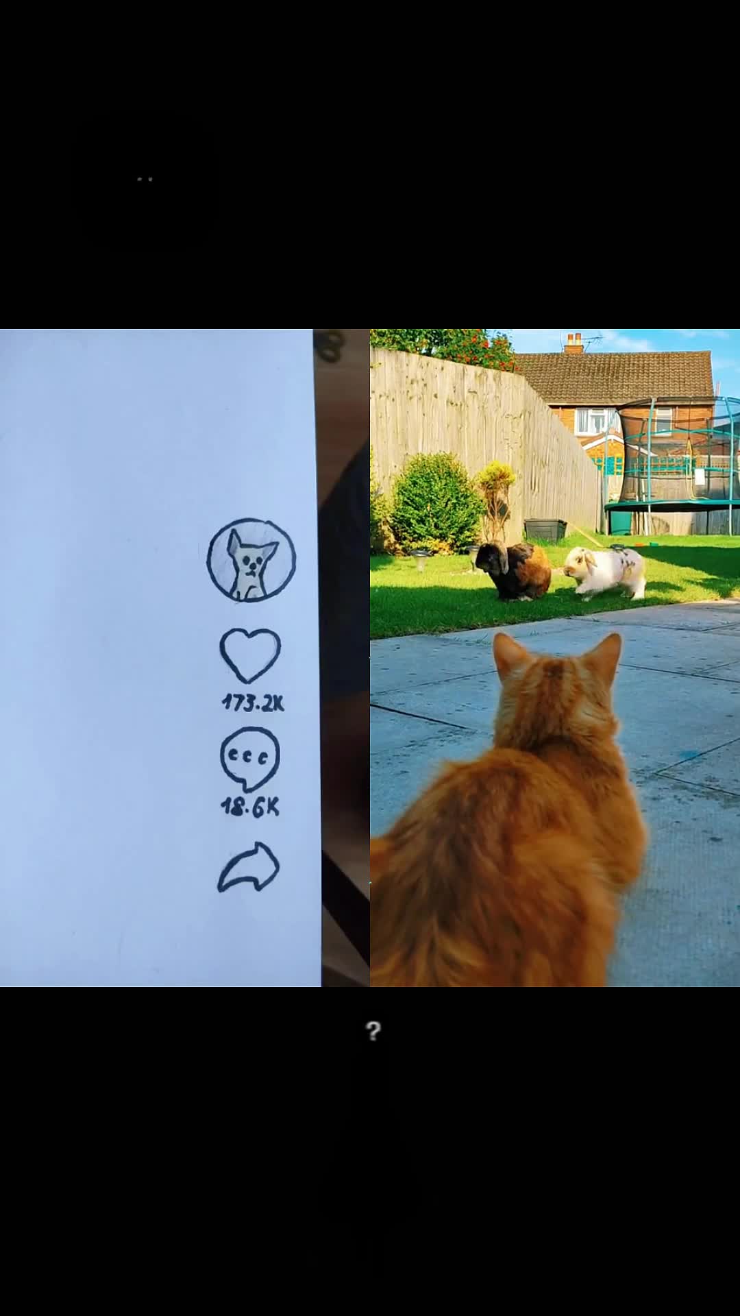 @maxrsgd