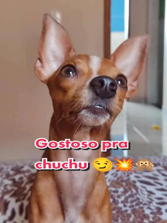 @Thor Dias Reis