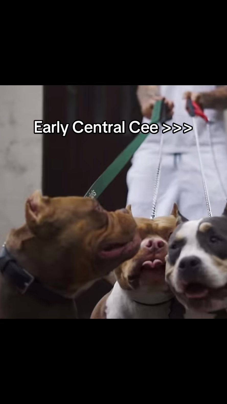 @TrapCentralUK