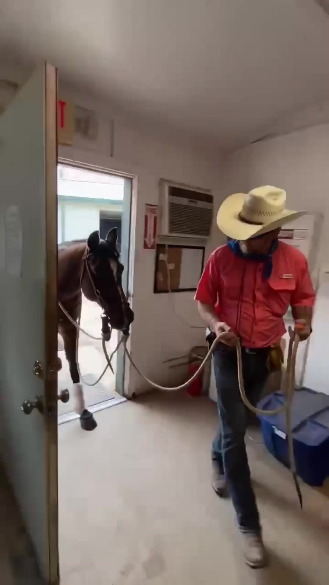 @CowboyBob_Horsemanship