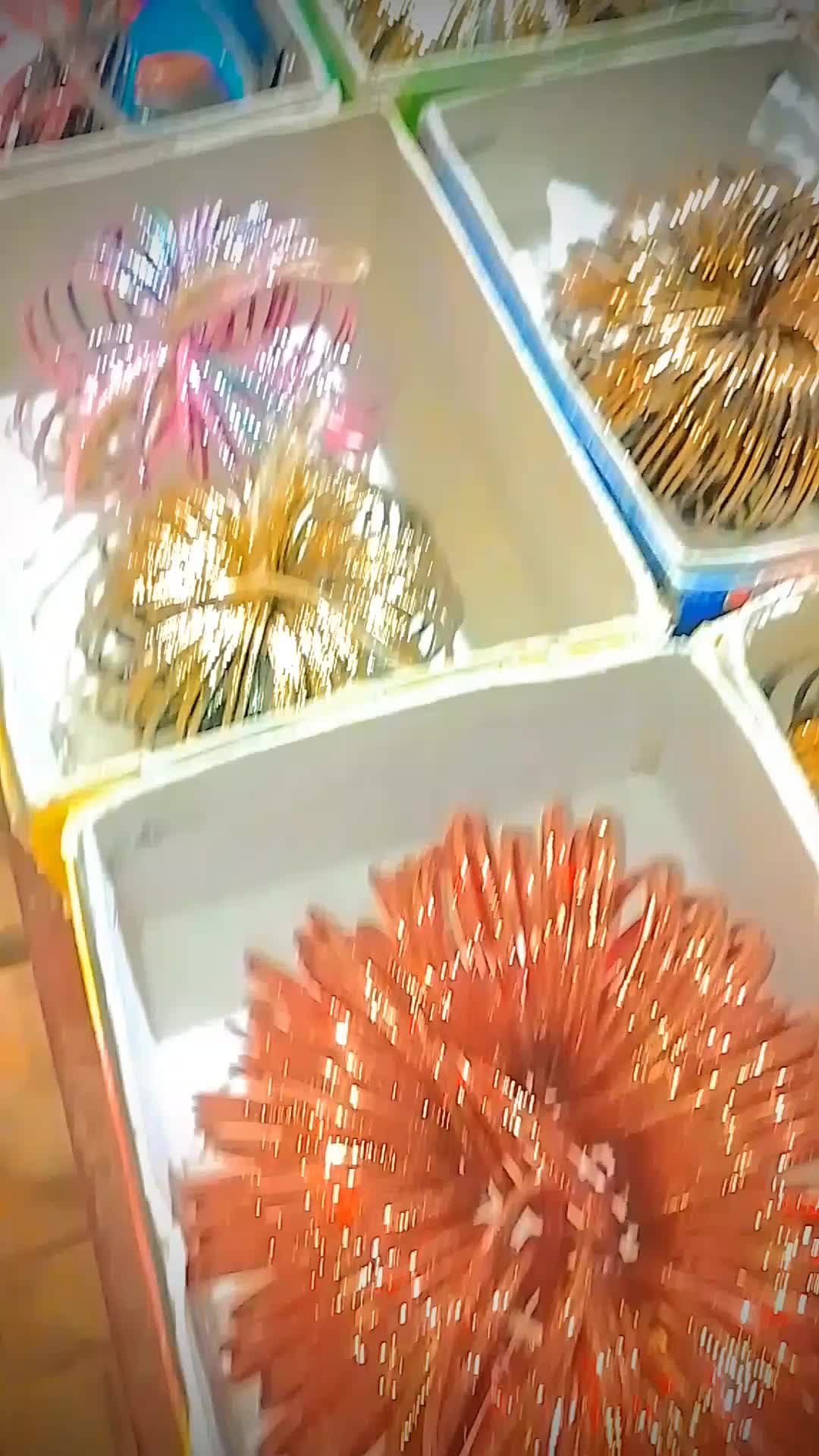 @꧁࿇♥𝓜𝓻 𝓑å𝓛Øç𝓗🎗️