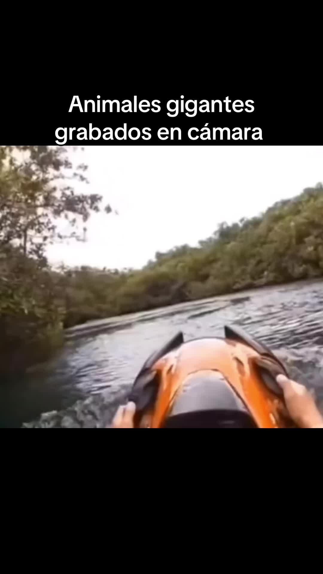 @CURIOSIDADES