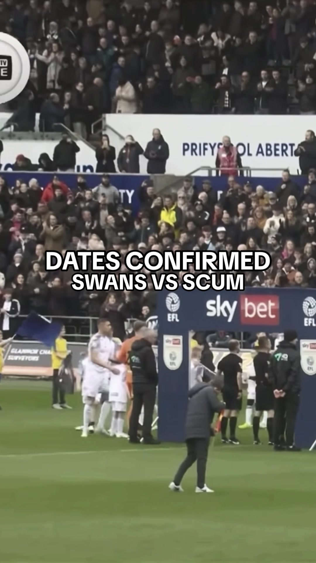 @Swansea City AFC 🦢