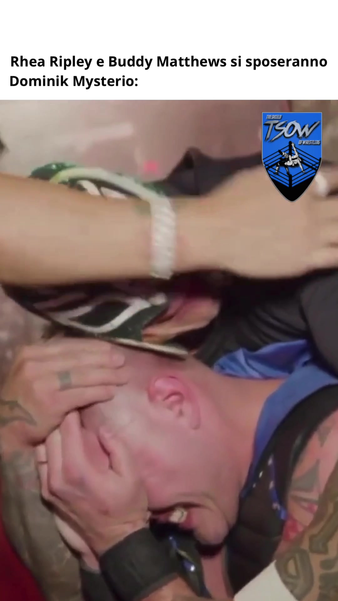 @The Shield Of Wrestling 🔹