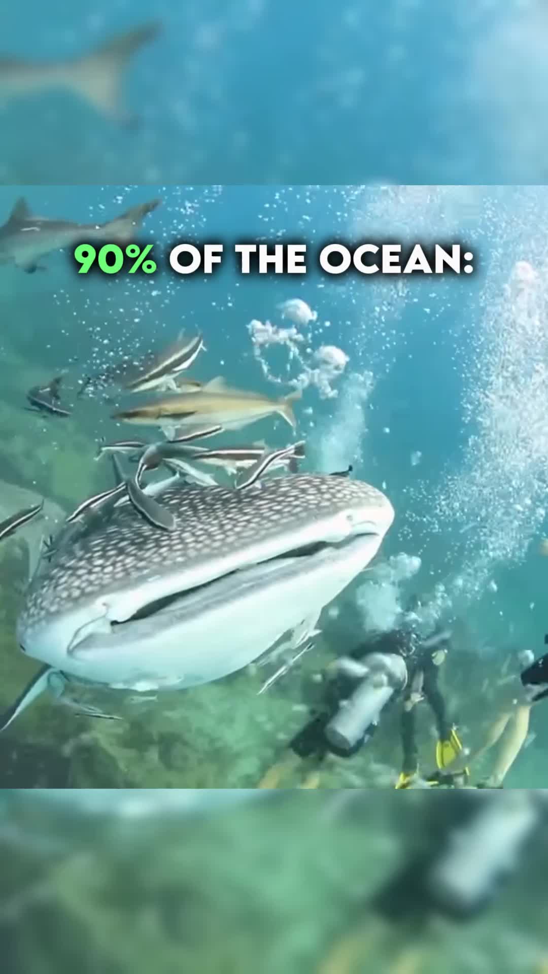 @man