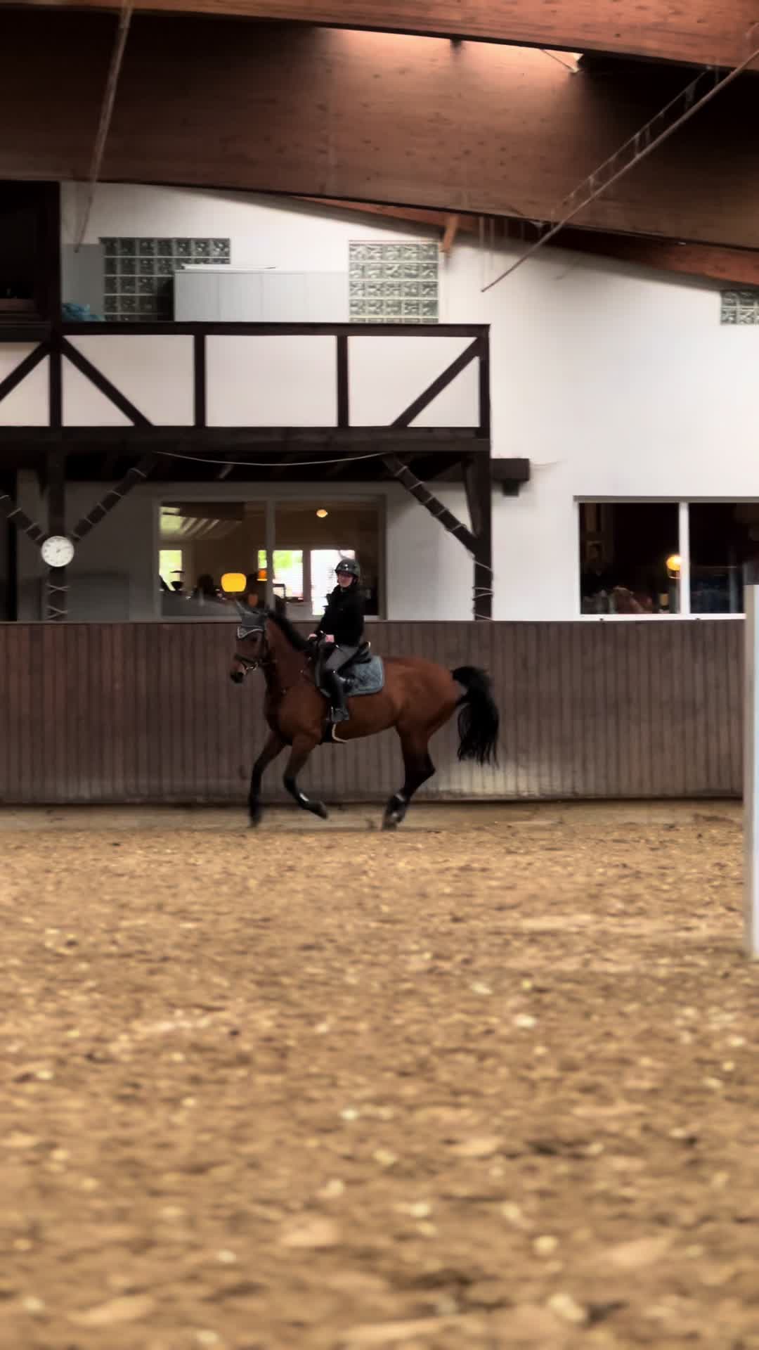 @🐎