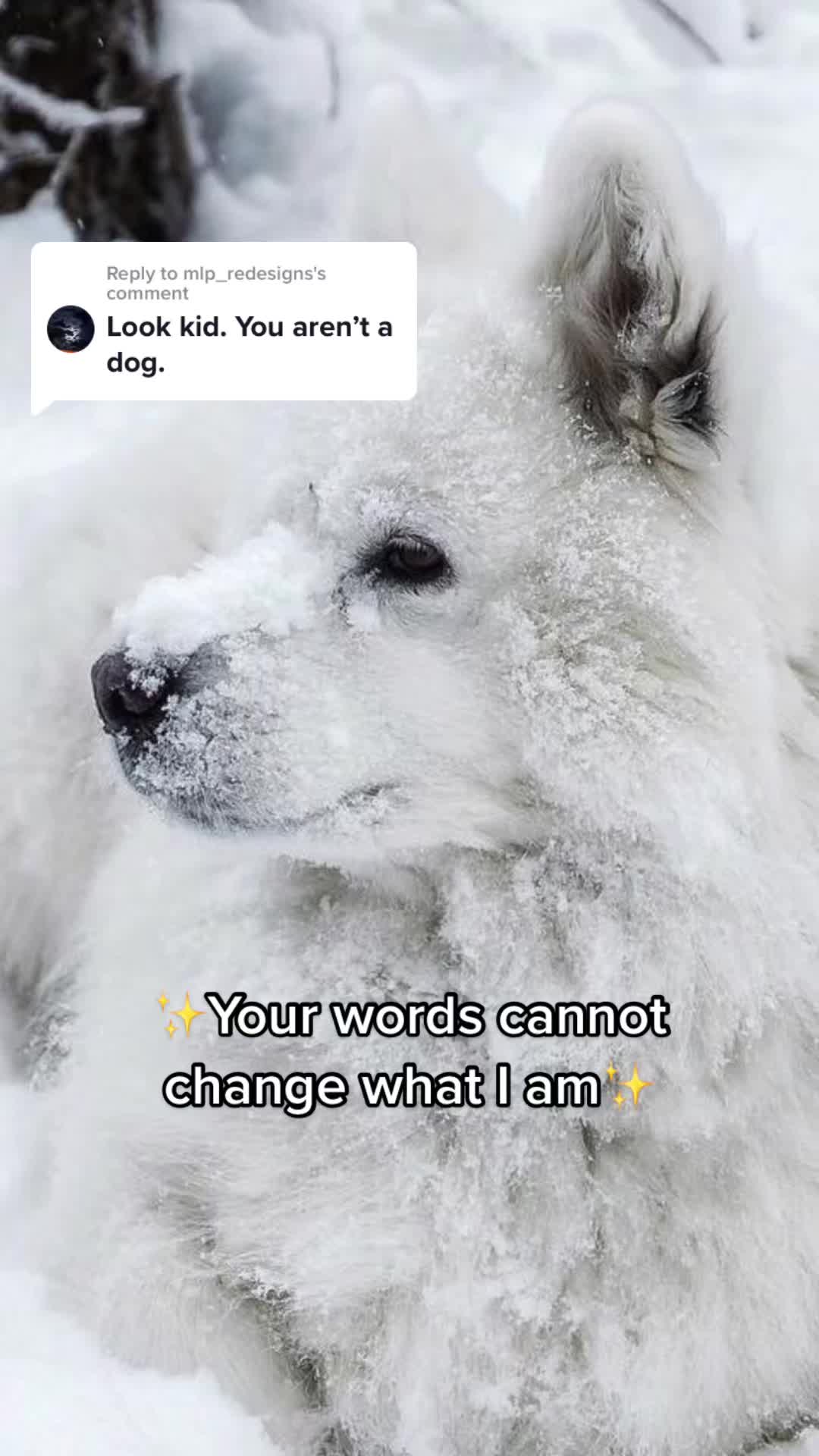 @Snowwystripes
