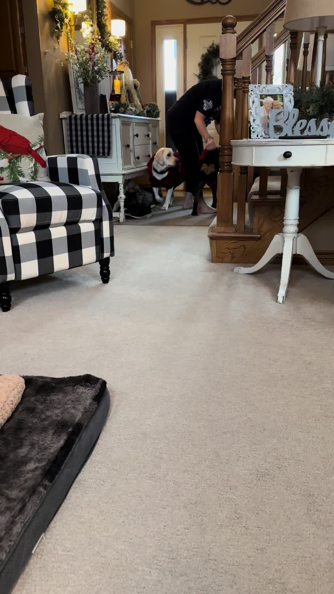 @lokarp32