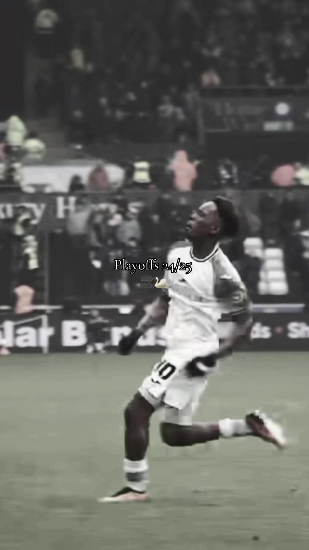 @Swansea City AFC 🦢