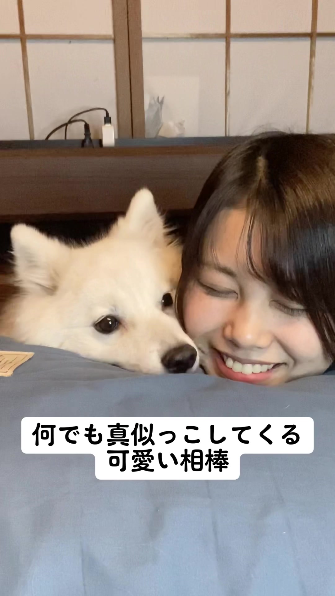 @ぽぽ家の日常