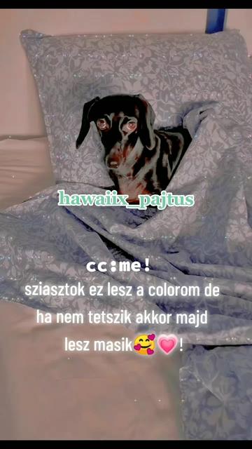 @❤️!abba hagytam!❤️