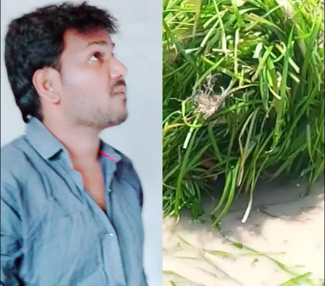 @గోదావరి అబ్బాయి ☑️