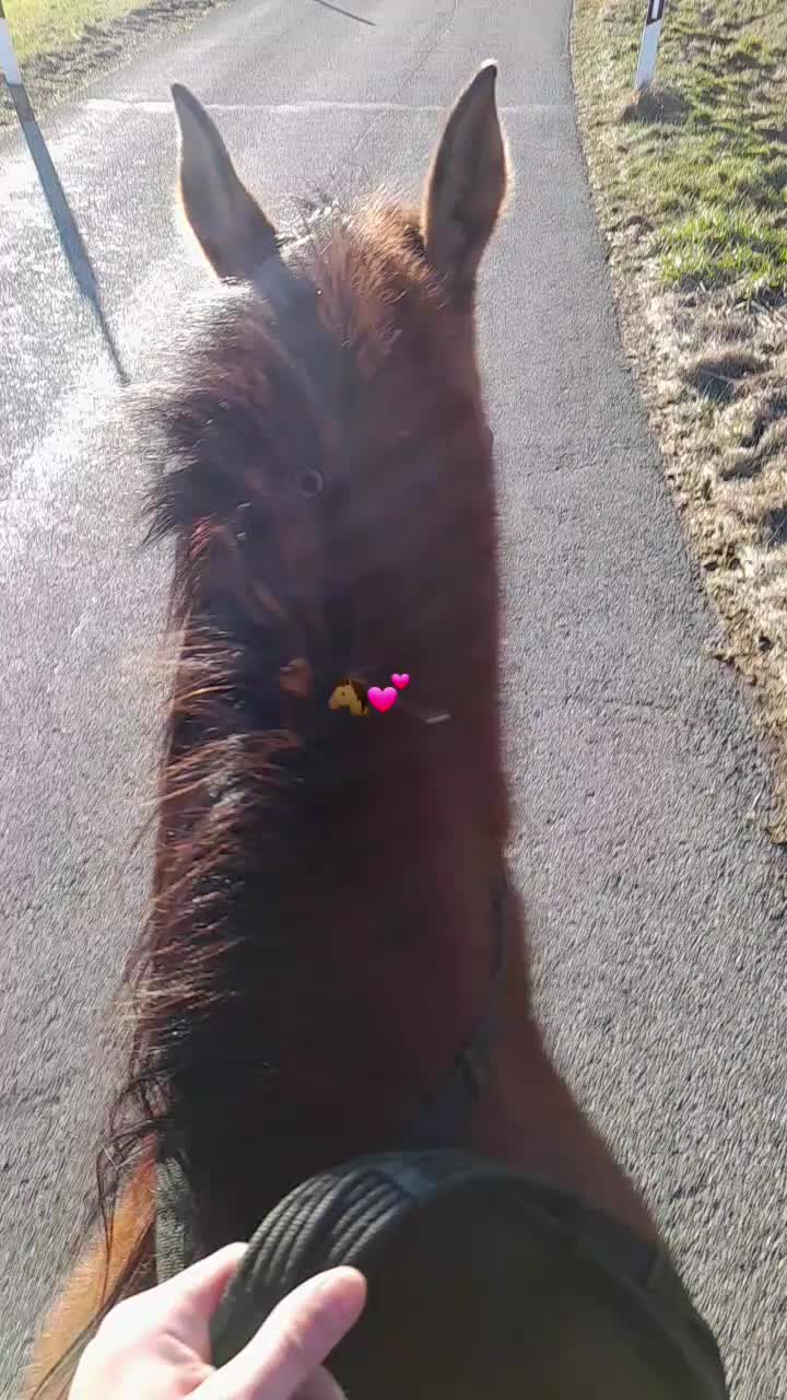 @🏇🏻❤️